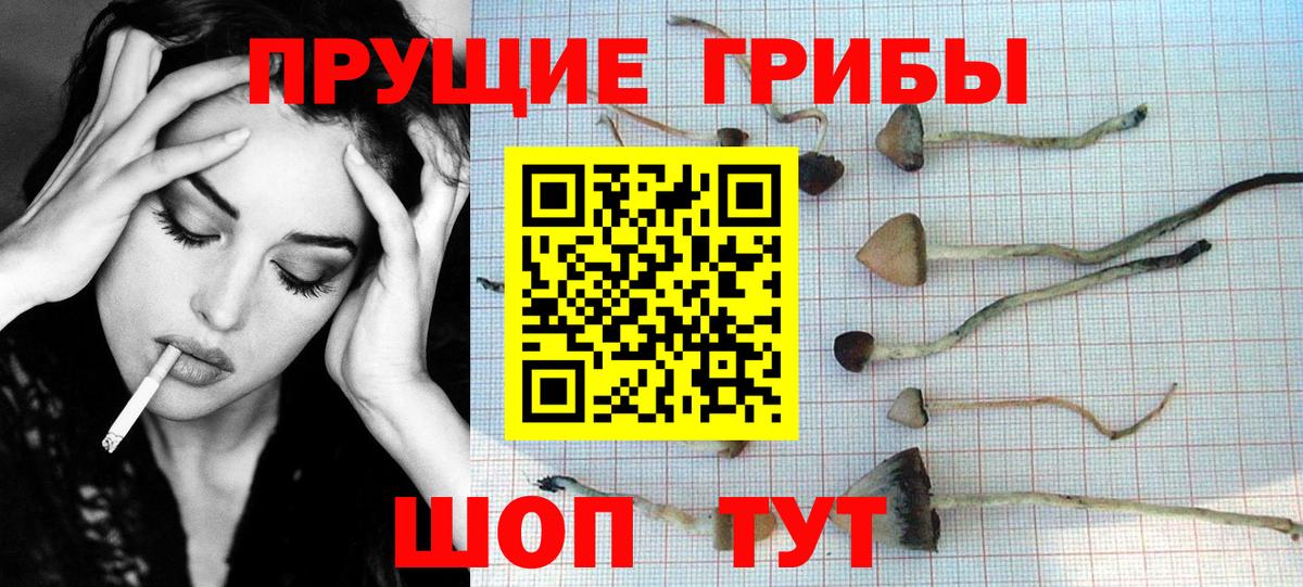 Галлюциногенные грибы мухоморы  Вход с VPN  Полевской 