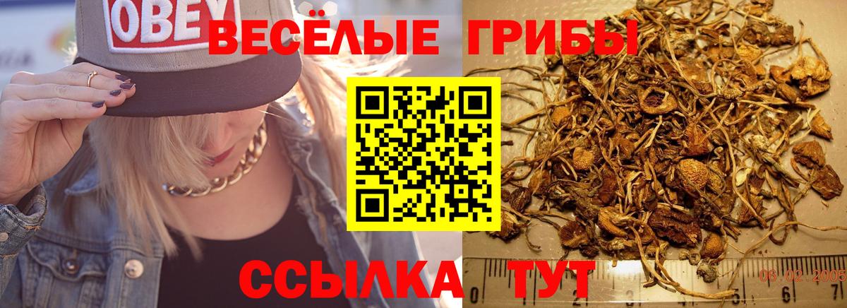 Псилоцибиновые грибы MAGIC MUSHROOMS Полевской